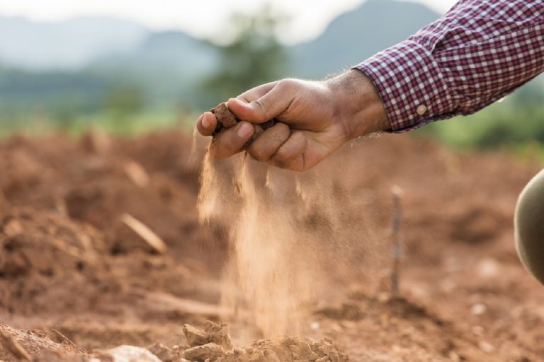 Puglia, la crisi idrica si misura in millimetri di pioggia